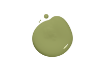 Blob of Sage paint