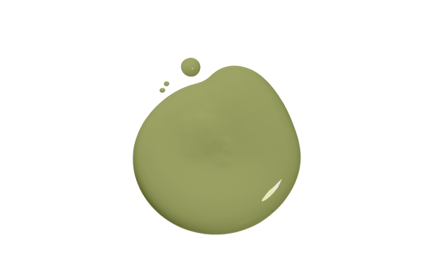 Blob of Sage paint