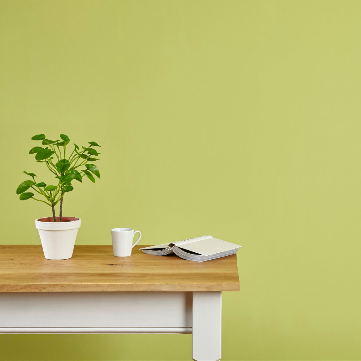 Matt Emulsion Paint Citron – Vintro Paint