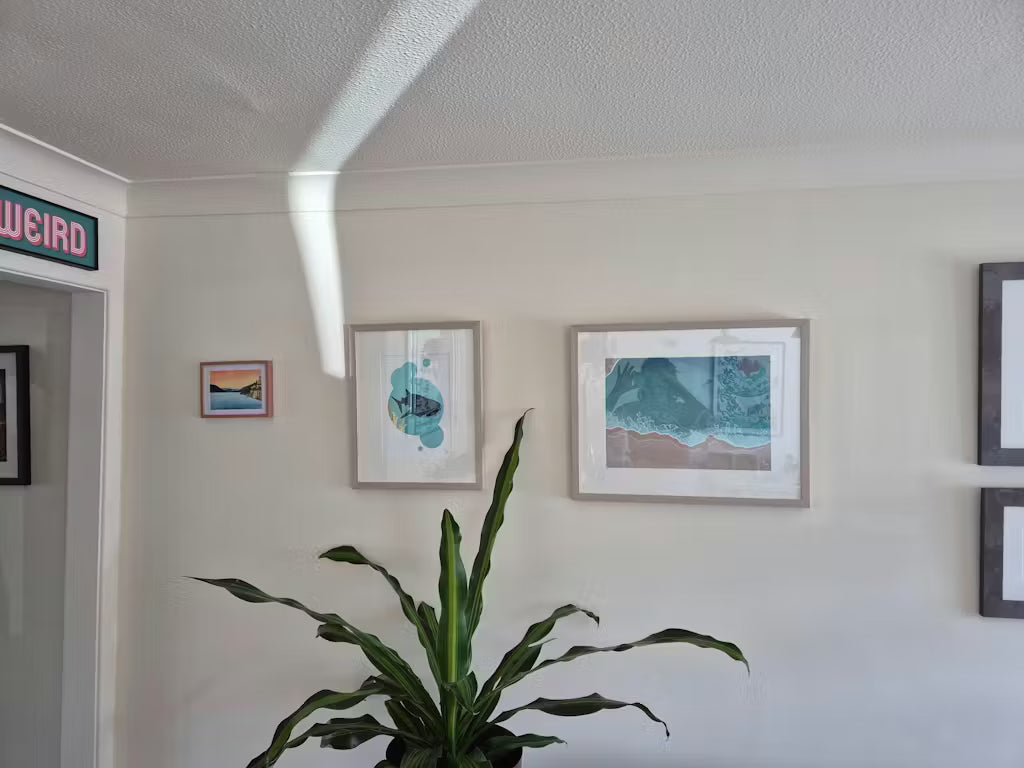 Matt Emulsion Paint Nymph