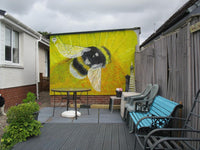 No Seal Chalk Paint Osborne Yellow