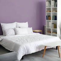 Matt Emulsion Paint Amethyst