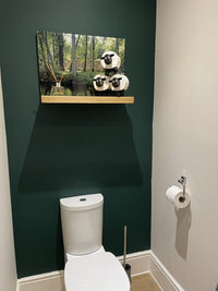 Matt Emulsion Paint Woodpecker Green